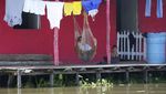 Hiruk-pikuk Desa Apung di Rawa Terbesar Kolombia