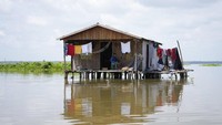 Cienaga Grande ini terletak di antara Sungai Magdalena dan pegunungan Sierra Nevada de Santa Marta.  