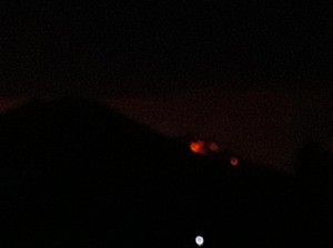 Kebakaran Hutan Diduga Terjadi di Pegunungan Merapi Ungup-ungup Banyuwangi