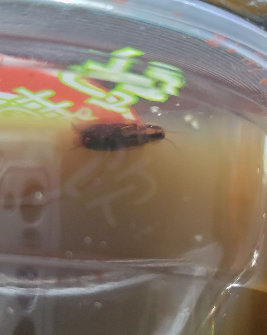 Temuan kecoak di minuman tebu