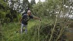 Warga Nepal Menanti Dilegalkannya Kembali Ganja