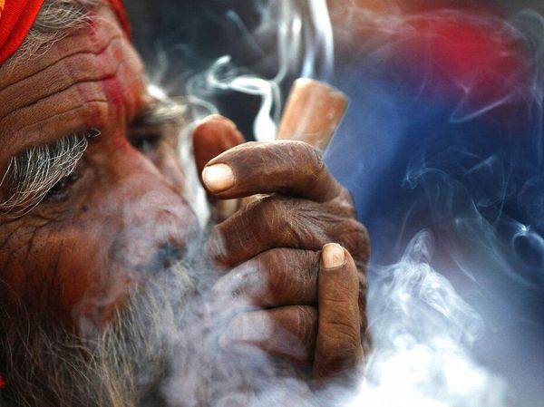 Warga Nepal Menanti Dilegalkannya Kembali Ganja