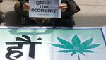 Warga Nepal Menanti Dilegalkannya Kembali Ganja