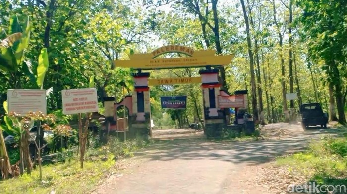 Alas Ketonggo Ngawi seolah tak bisa dipisahkan dengan Gunung Lawu. Bahkan, hutan itu dipercaya sebagai gerbang alam gaib Gunung Lawu.
