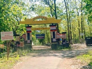 Soal Alas Ketonggo Ngawi yang Dipercaya Gerbang Alam Gaib Gunung Lawu