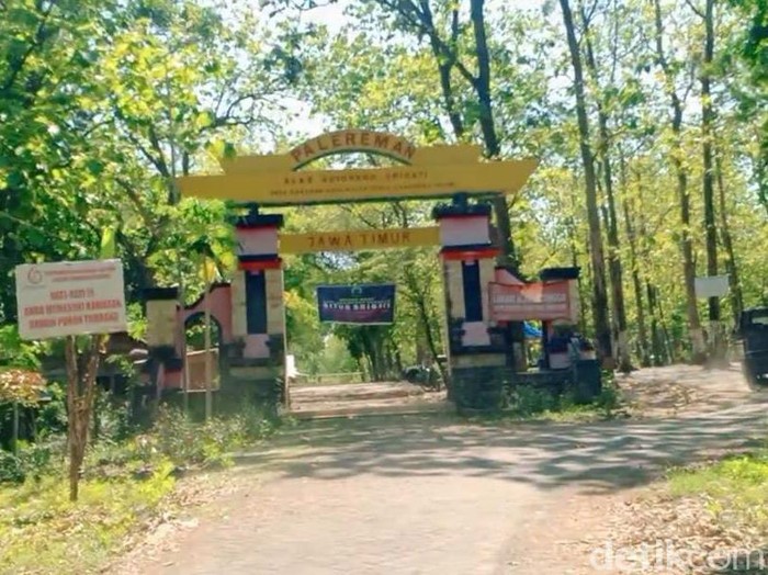Alas Ketonggo Ngawi seolah tak bisa dipisahkan dengan Gunung Lawu. Bahkan, hutan itu dipercaya sebagai gerbang alam gaib Gunung Lawu.