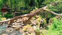 Memasuki alas Ketonggo, para peziarah dapat melihat Palenggahan Agung Srigati, berupa sebuah bangunan rumah kecil berukuran sekitar 4 kali 3 meter. Di dalamnya dulunya terdapat gundukan tanah, yang dari hari ke hari dikabarkan seperti hidup. Ukuran gundukan tanah itu, semakin lama semakin tinggi dan melebar.