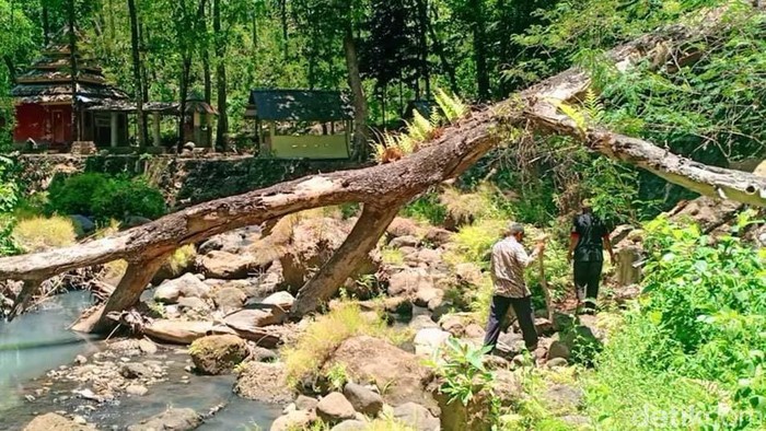 Bagi anda pecinta wisata spiritual wajib mengunjungi lokasi Alas Ketonggo atau hutan Ketonggo Ngawi. Alas Ketonggo dipercaya sebagai Petilasan Raja Majapahit Prabu Brawijaya V.