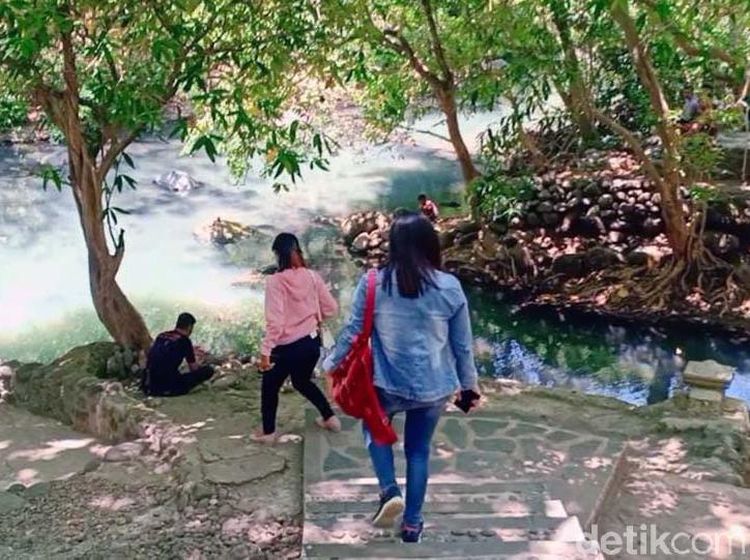 Alas Ketonggo Ngawi yang Dipercaya Petilasan Raja Brawijaya