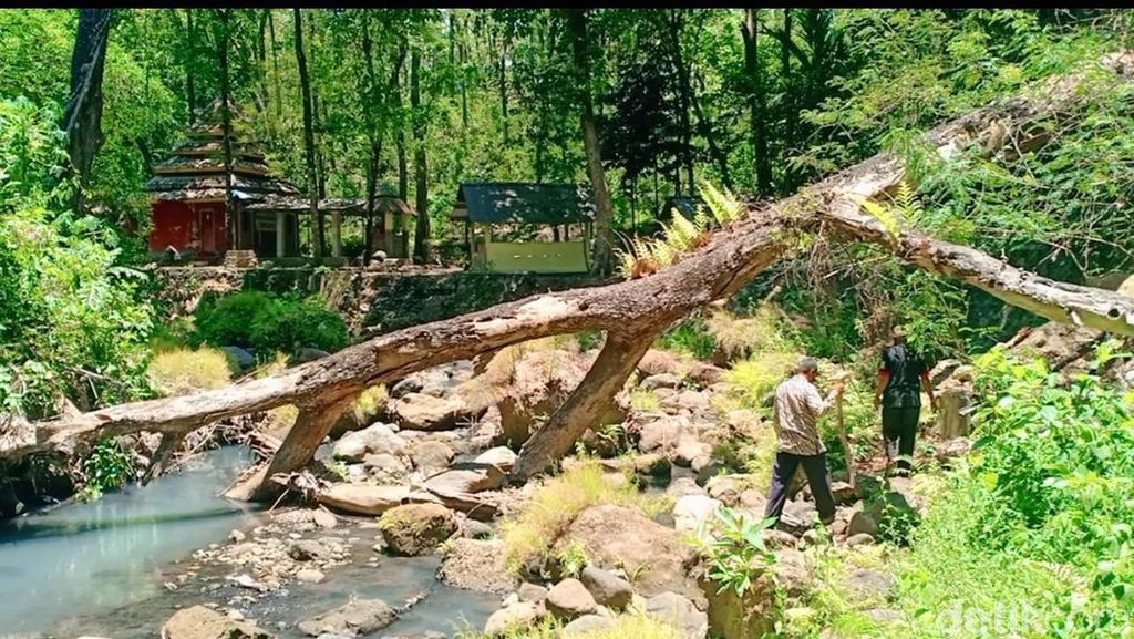 Sungai Tempuk Jadi Tempat Ritual Favorit Pengunjung di Alas Ketonggo Ngawi