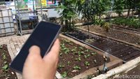 Lebih Irit, Urban Farming Di Bandung Pakai Solar Cell