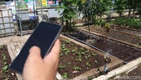Pertanian ini juga menggunakan teknologi untuk mulai menyiram sayur yang ditanam.