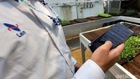 Alat menyiram dikendalikan menggunakan ponsel dan bisa dilakukan dari jarak jauh.