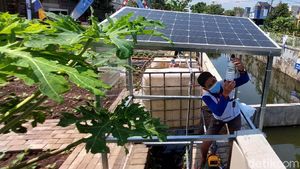 Lebih Irit, Urban Farming di Bandung Pakai Solar Cell