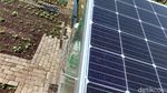 Lebih Irit, Urban Farming di Bandung Pakai Solar Cell