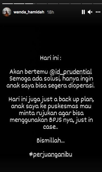 Instagram @wanda_hamidah, komen soal BPJS