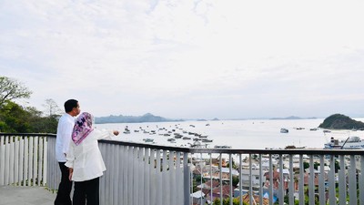 Sekilas Pandang Jurassic Park TN Komodo yang Diresmikan Jokowi