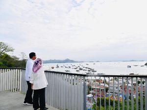 Sekilas Pandang Jurassic Park TN Komodo yang Diresmikan Jokowi