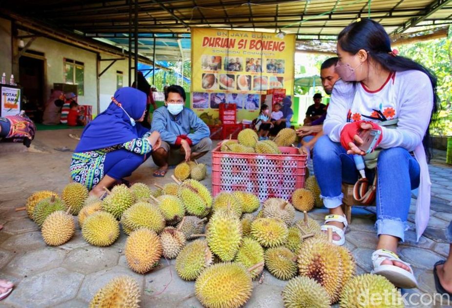 Musim Panen, Durian Boneng asal Banyuwangi Mulai Diburu Pembeli