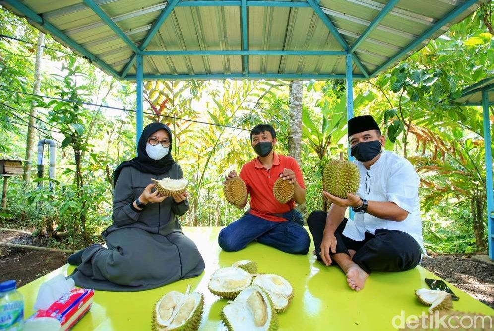 Musim Panen, Durian Boneng asal Banyuwangi Mulai Diburu Pembeli