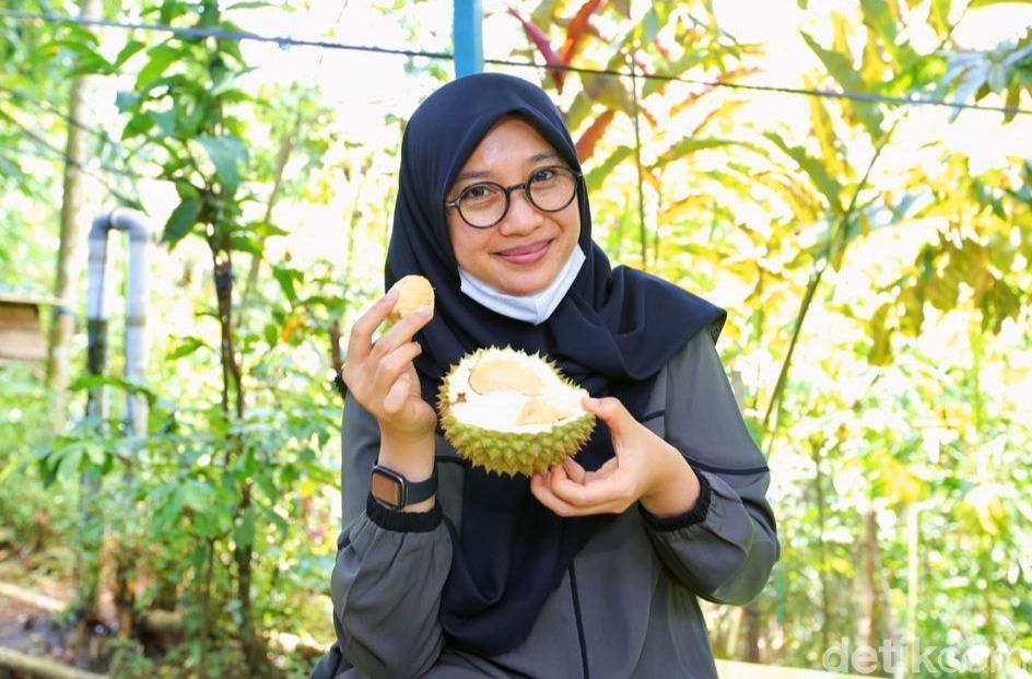 Musim Panen, Durian Boneng asal Banyuwangi Mulai Diburu Pembeli