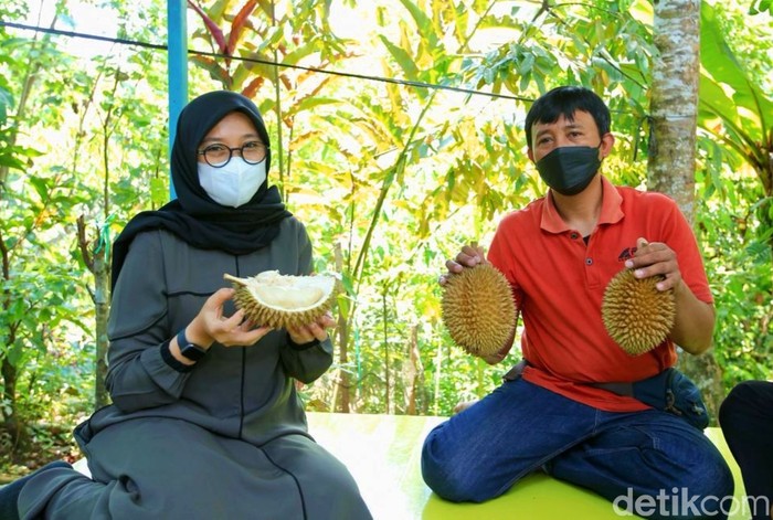 Musim Panen, Durian Boneng asal Banyuwangi Mulai Diburu Pembeli