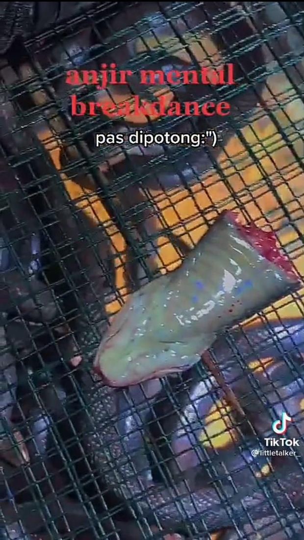 Seleb TikTok Ini Berani Makan Sate Kelelawar hingga Torpedo Kuda