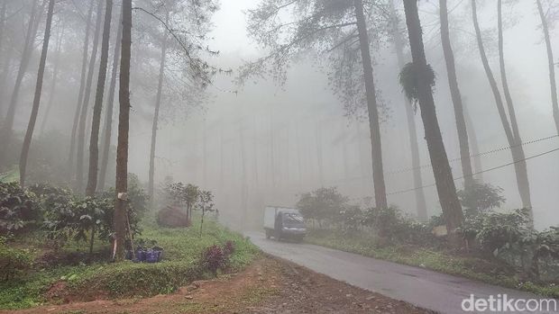 Puncak Jahim Ciamis