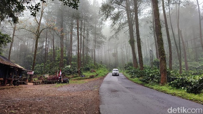 Puncak Jahim Ciamis