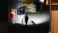 Tampak petugas kepolisian dan anjing pelacak melakukan olah TKP di lokasi kejadian penyerangan busur panah di Norwegia. AP Photo/Hakon Mosvold Larsen.