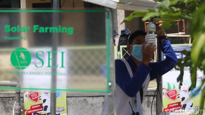 Urban farming di Bandung pakai Solar Cell untuk kebutuhan listrik