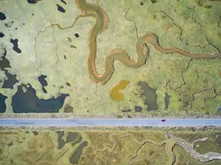 Karya Jawara Wildlife Photographer Of The Year 2021 Bikin Mata Takjub