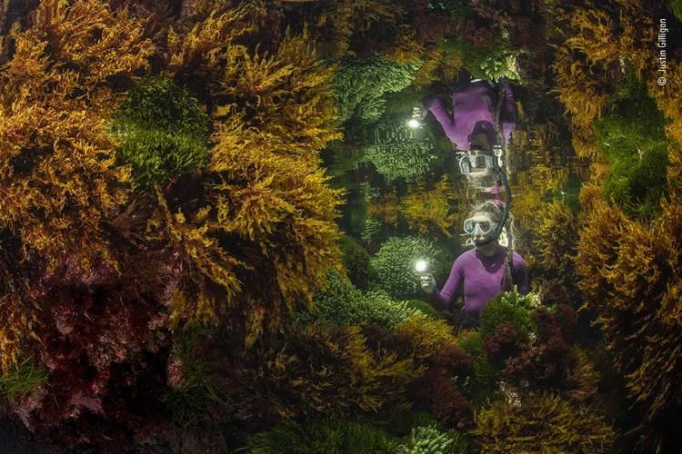 Wildlife Photographer of the Year 2021 Wildlife Photographer of the Year 2021