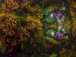 Karya Jawara Wildlife Photographer Of The Year 2021 Bikin Mata Takjub