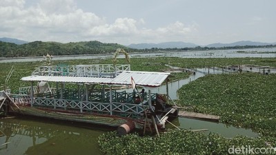 Kapal Wisata Rawa Jombor: Dulu Ikon, Kini Mangkrak Dikepung Eceng Gondok
