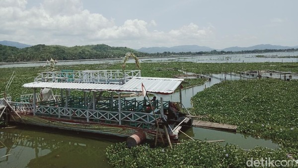Kapal Wisata Rawa Jombor: Dulu Ikon, Kini Mangkrak Dikepung Eceng Gondok
