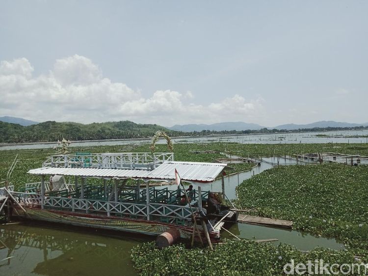 Kapal Wisata Rawa Jombor: Dulu Ikon, Kini Mangkrak Dikepung Eceng Gondok