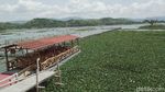 Kapal Wisata Rawa Jombor: Dulu Ikon, Kini Mangkrak Dikepung Eceng Gondok