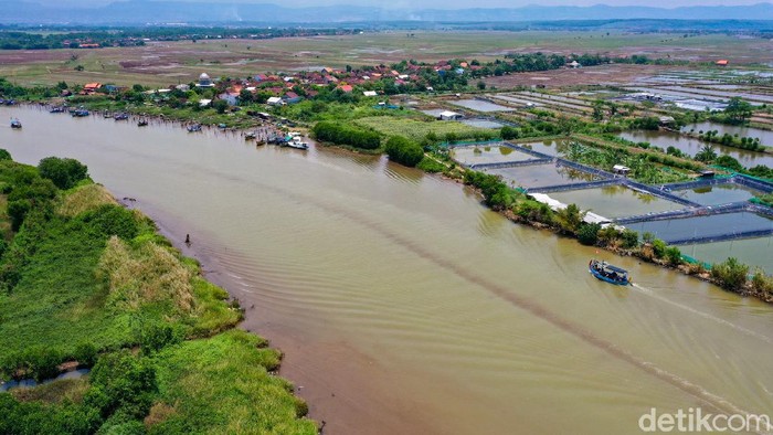 Getek Jadi Alat Warga Gempolsewu Kendal Seberangi Sungai Warga di Desa Gempolsewu, Kabupaten Kendal, memanfaatkan perahu getek untuk menyeberangi sungai. Hal ini dikarenakan belum adanya fasilitas jembatan di lokasi.