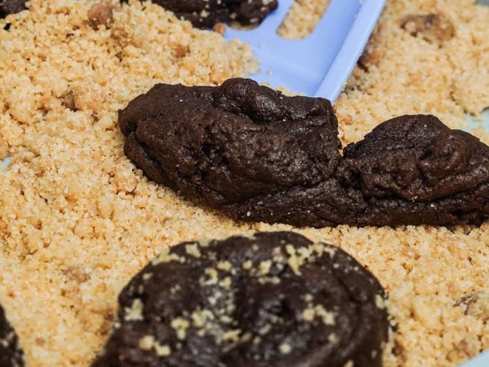 Hii Jijik! Brownies Ini Bentuknya Kayak Kotoran Kucing