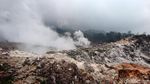 Kapan Taman Nasional Halimun Salak Kembali Dibuka?