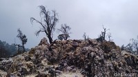 Dari letusan gunung ini terbentuk area kawah dengan luas sekitar 2 hektar. Sampai saat ini masih mengeluarkan air dan uap panas serta gas belerang.