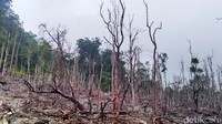 Kawah ratu berada di kawasan Taman Nasional Gunung Halimun Salak berlokasi di Desa Cidahu, Kecamatan Cicurug, Kabupaten Sukabumi.