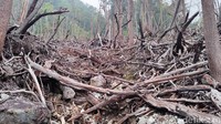 Tempat wisata yang satu ini terbilang mudah untuk dikunjungi baik dengan kendaraan roda dua maupun empat.