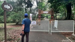 Greenpeace soal Wisata Cahaya di Kebun Raya Bogor: Hati-hati