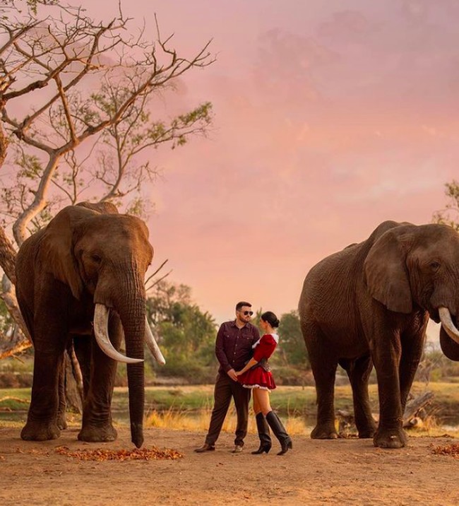 Maria Solodar yang merupakan seorang blogger menikahi pria kaya asal Prancis bernama Joana. Zambia dipilih menjadi tempat pernikahan idaman untuk pasangan ini karena keduanya ingin menaiki gajah selama berjalan di altar. Foto: dok. Instagram/@mariyasolodar