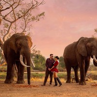 Maria Solodar yang merupakan seorang blogger menikahi pria kaya asal Prancis bernama Joana. Zambia dipilih menjadi tempat pernikahan idaman untuk pasangan ini karena keduanya ingin menaiki gajah selama berjalan di altar. Foto: dok. Instagram/@mariyasolodar