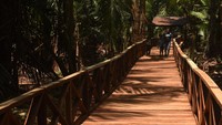 Wisatawan akan merasakan sensasi menembus lebatnya kebun sagu, melihat langsung pengolahan sagu, mencari ulat sagu, serta menikmati kuliner khas, seperti : ikan kuah hitam, sate ulat sagu, dan berbagai makanan olahan dari sagu.