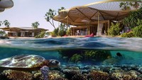 Konsepnya Coral Bloom, jadi akan ada pemandangan terumbu karang langsung. Konsep itu arsitektur Inggris terkenal dunia, Foster+Partners.