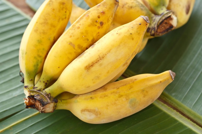Resep Pisang Goreng Wijen